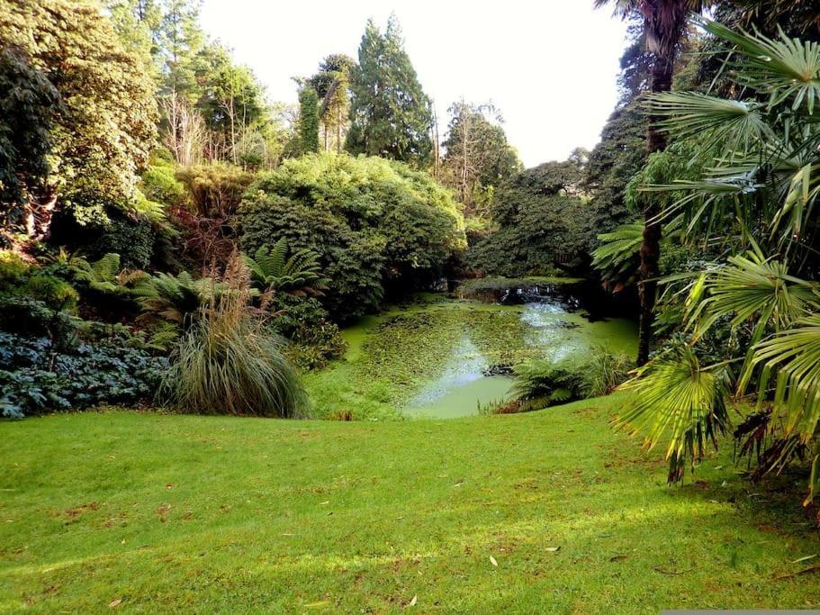 White Eden - Explore Cornwall From A Comfy Central Appartment St Austell Bagian luar foto